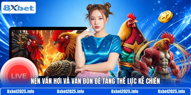 Nên vần hơi và vần đòn để tăng thể lực kê chiến
