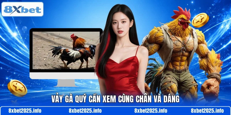 Vảy gà quý cần xem cùng chân và dáng